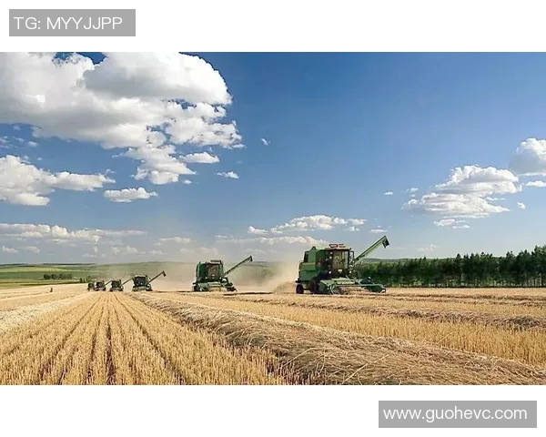 重庆乒乓球队的阵地战解析与未来发展趋势探讨