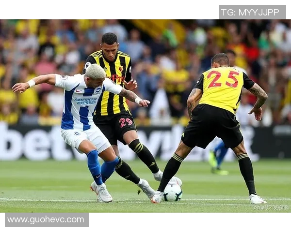 布莱顿主场迎战巡游者期待精彩对决双方球员状态火热斗志昂扬