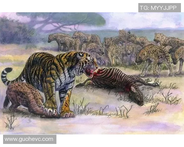 布鲁斯与普利茅斯的激烈对决揭示足球战术的魅力与挑战