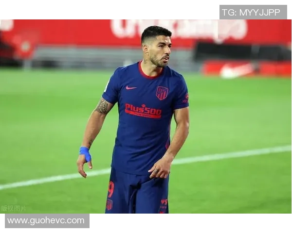 梅加与圣马丁的巅峰对决谁能笑到最后揭开悬念之战的真相