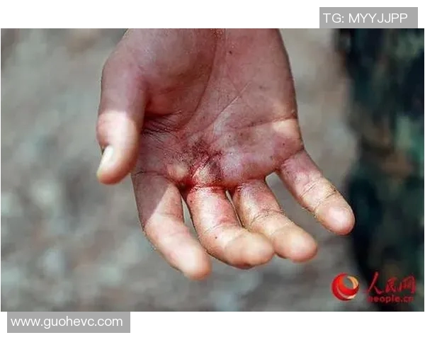 吉达阿赫利与棉衣的激烈对决展现足球魅力与团队精神的巅峰对抗 吉达阿赫利与棉衣的激烈对决展现足球魅力与团队精神的巅峰对抗