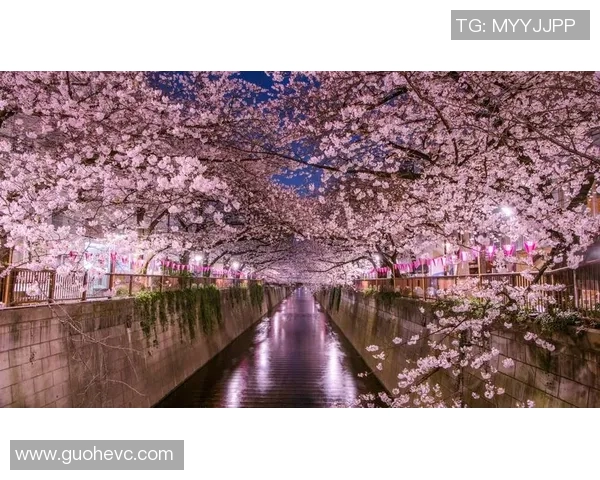 草津温泉与大阪樱花的魅力对决：温泉与樱花的完美融合之旅